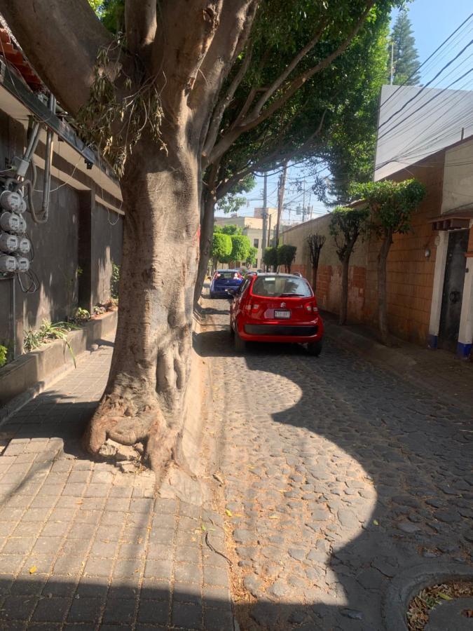Coyoacan Magico メキシコシティ エクステリア 写真